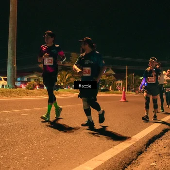 Runner Photo 4475420