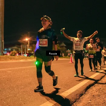Runner Photo 4475425