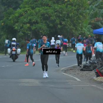 Runner Photo 4475591