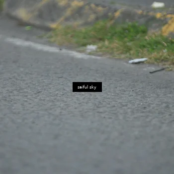 Runner Photo 4475639