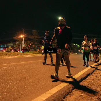 Runner Photo 4475846