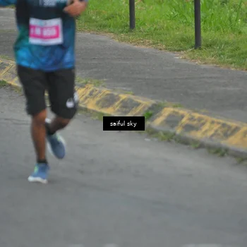 Runner Photo 4475898