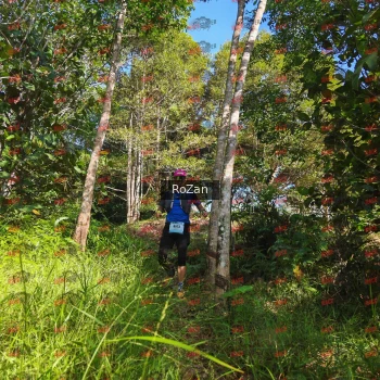 Runner Photo 4476