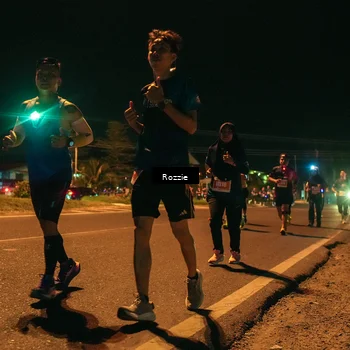 Runner Photo 4476229