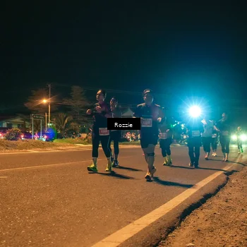 Runner Photo 4476278