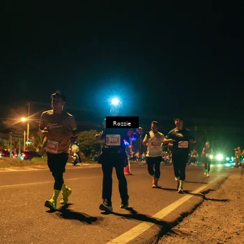 Runner Photo 4476294