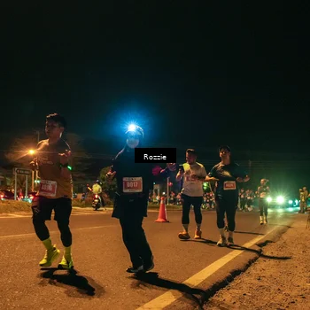 Runner Photo 4476360