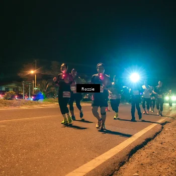 Runner Photo 4476362