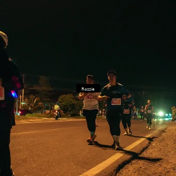Runner Photo 4476382