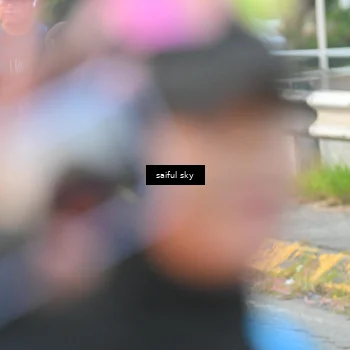 Runner Photo 4476655