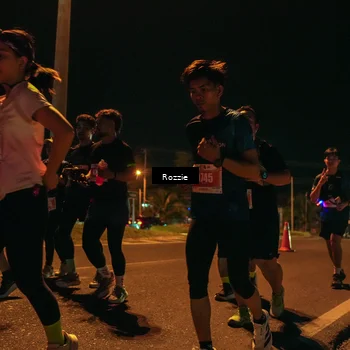 Runner Photo 4477047