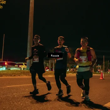 Runner Photo 4477317