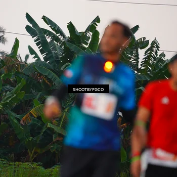 Runner Photo 4477483