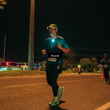 Runner Photo 4477623