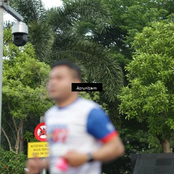 Runner Photo 4477670