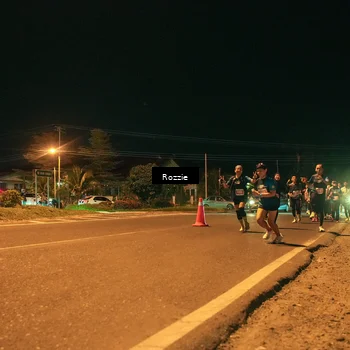 Runner Photo 4478743