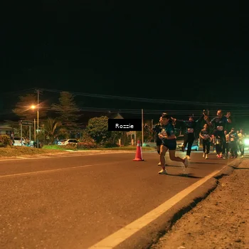 Runner Photo 4478776