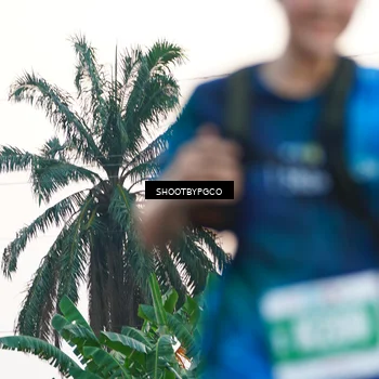 Runner Photo 4480383