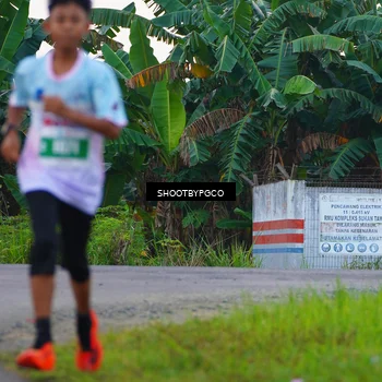 Runner Photo 4480434