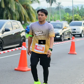 Runner Photo 4480675