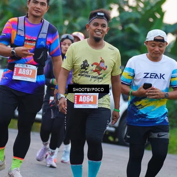 Runner Photo 4480754