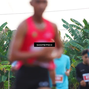 Runner Photo 4482375
