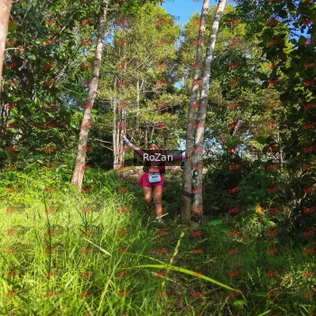 Runner Photo 4483