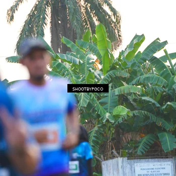 Runner Photo 4484250
