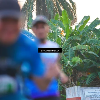 Runner Photo 4484262