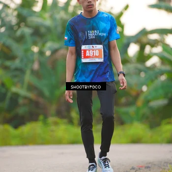 Runner Photo 4484642