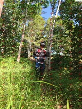 Runner Photo 4486