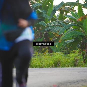 Runner Photo 4486931
