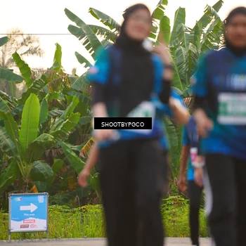 Runner Photo 4486979