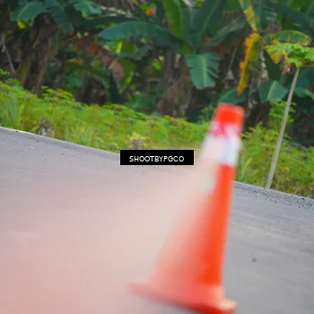 Runner Photo 4488657