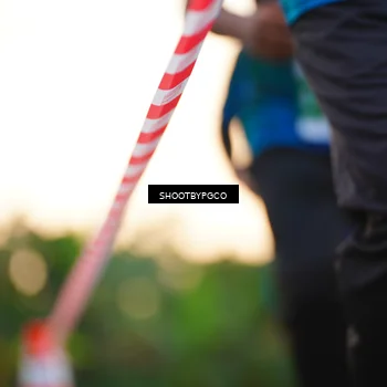 Runner Photo 4489119