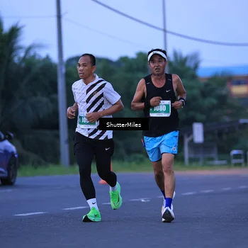 Runner Photo 4495838