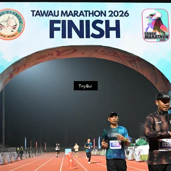 Runner Photo 4495856