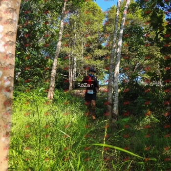 Runner Photo 4496