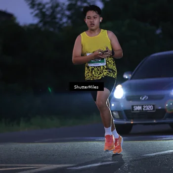 Runner Photo 4501478