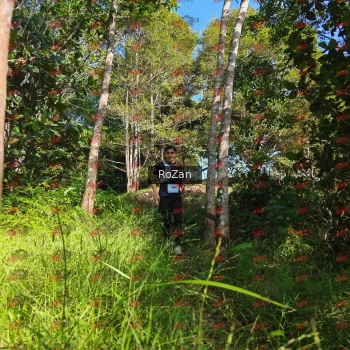 Runner Photo 4503