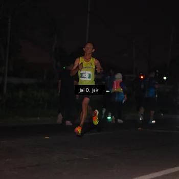 Runner Photo 4504170
