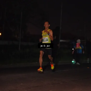 Runner Photo 4504174