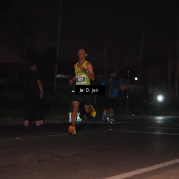 Runner Photo 4504215