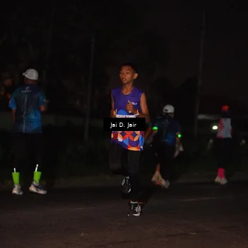 Runner Photo 4504219