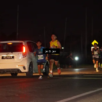 Runner Photo 4504265