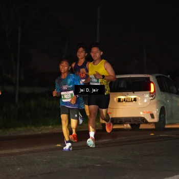 Runner Photo 4504273
