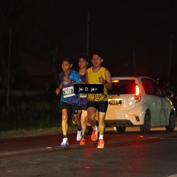 Runner Photo 4504284