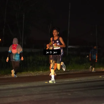 Runner Photo 4504297