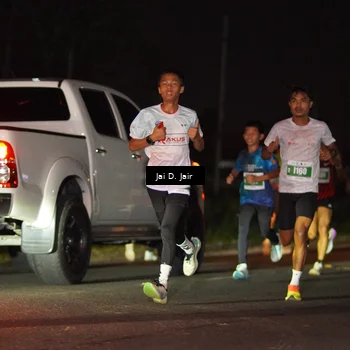 Runner Photo 4504323