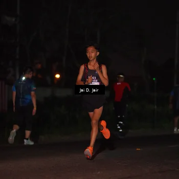 Runner Photo 4504467